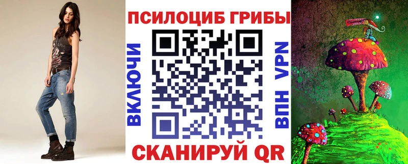 закладка  Псков  Псилоцибиновые грибы мицелий 