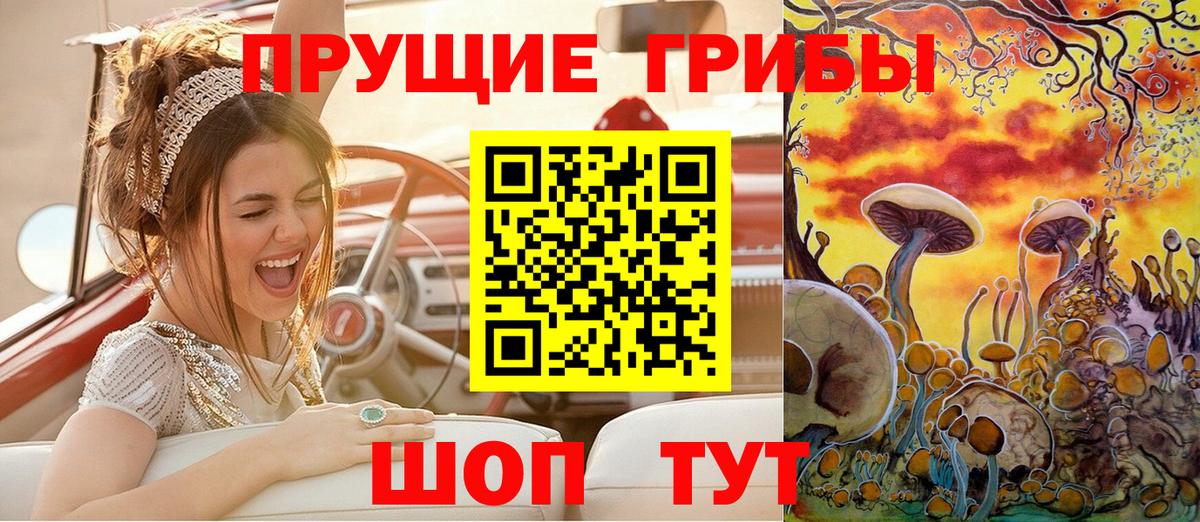 Галлюциногенные грибы прущие грибы  Вход с VPN  Псков 